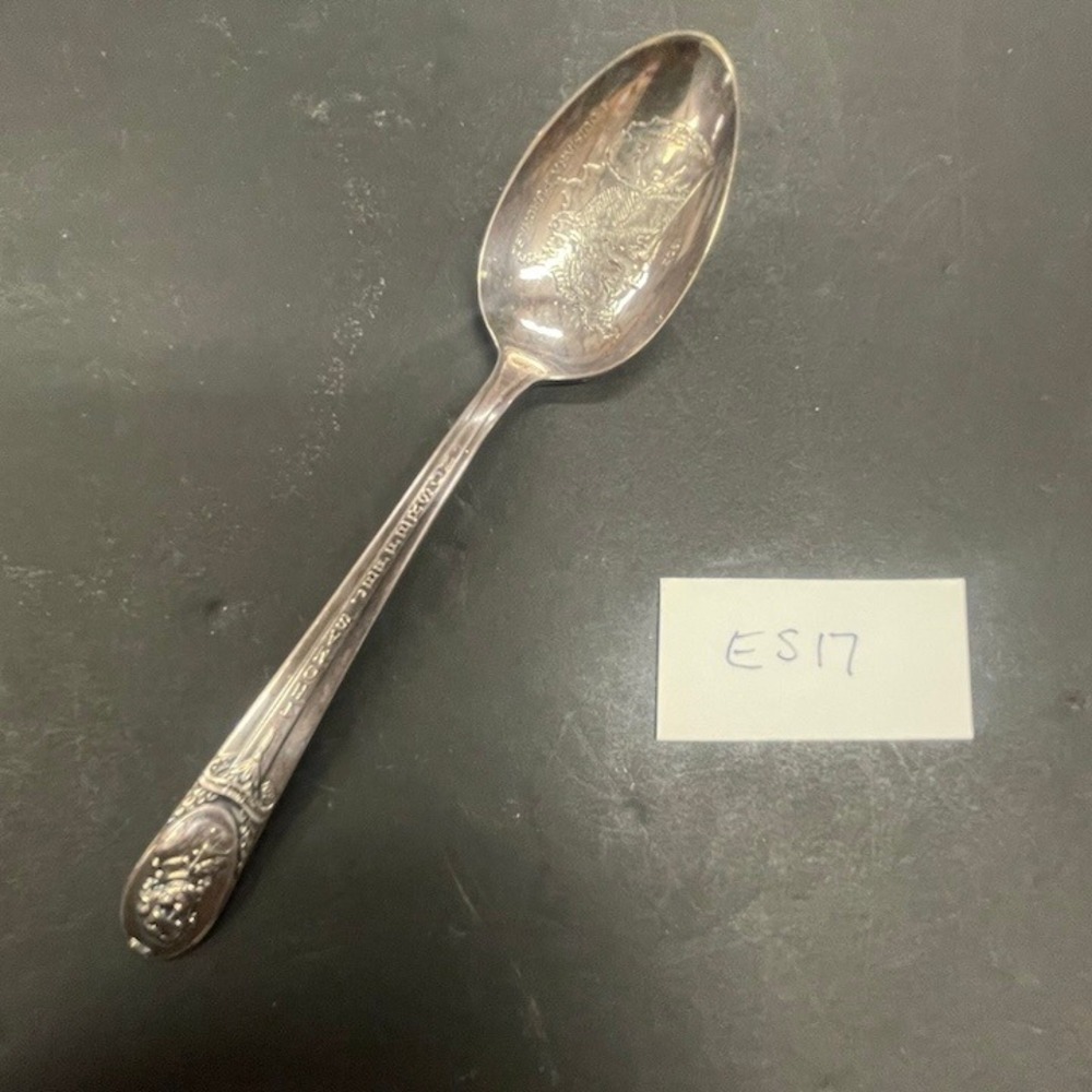 Wm. Rogers Mfg. Co. 1904 Louisiana Purchase Exposition Etched‎ Spoon ES17
